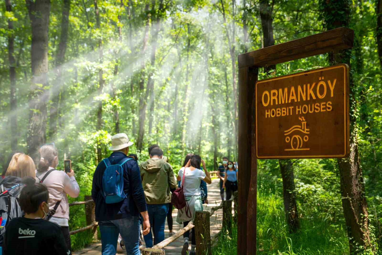 Ormanya’da yaz hazırlıkları tamamlandı