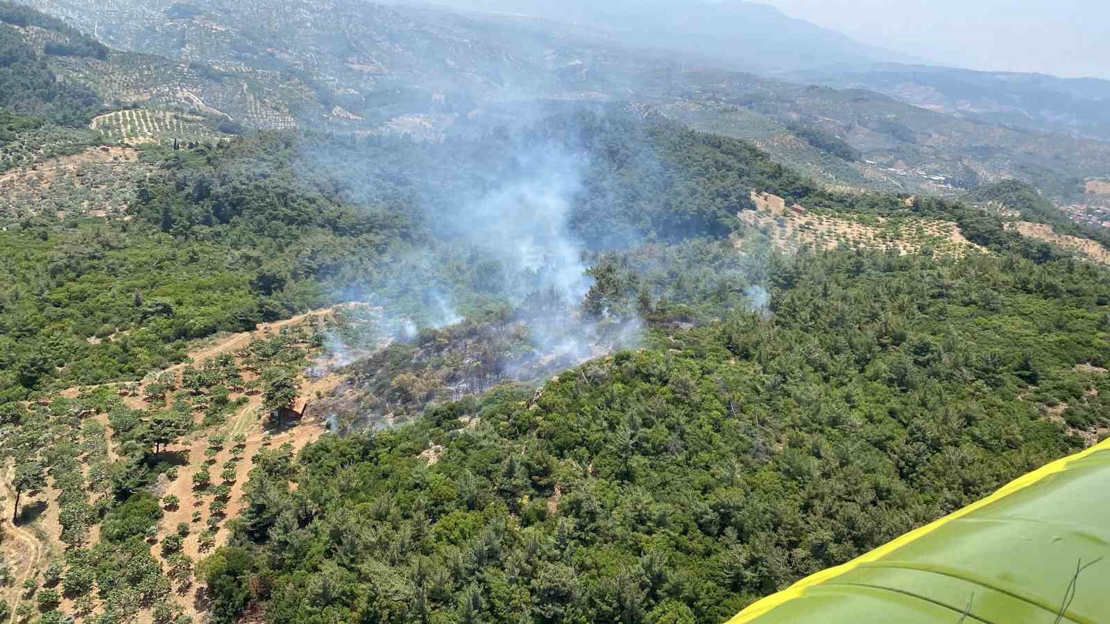 Germencik’te orman yangını