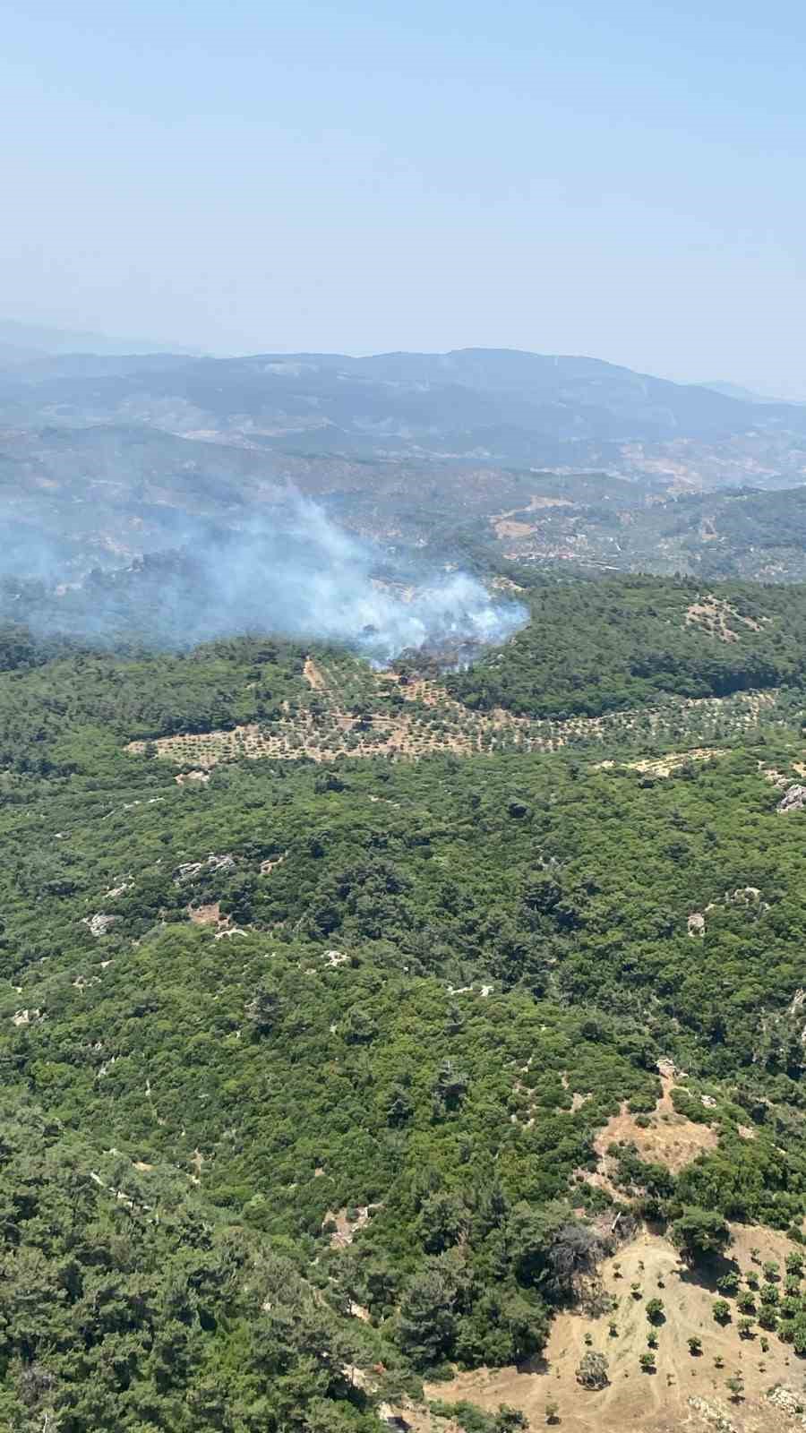 Germencik&rsquo;te orman yangını
