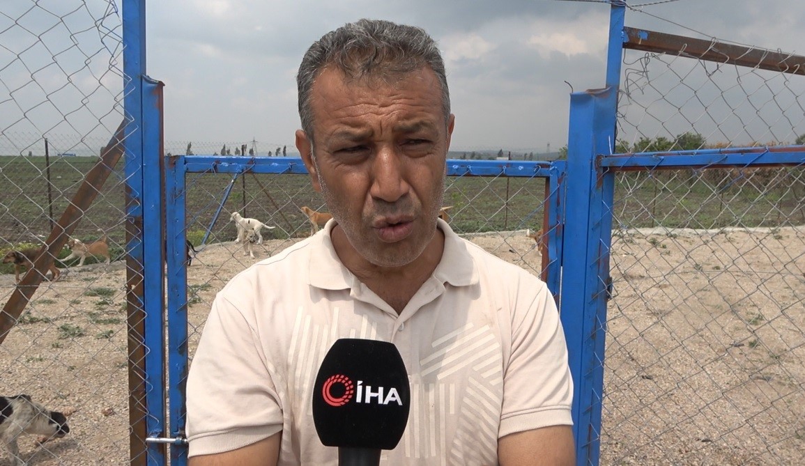 G&ouml;n&uuml;ll&uuml;ler hasta ve yaşlı sokak hayvanları i&ccedil;in koruma alanı yaptı
