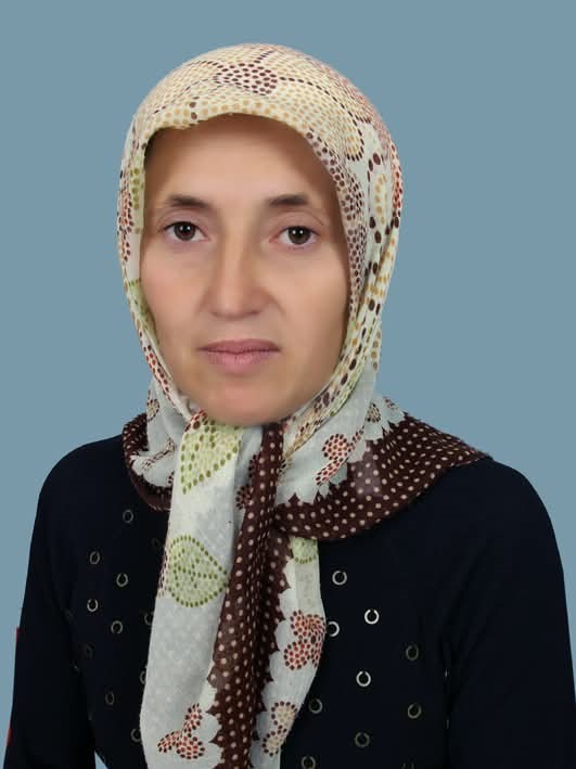 &Uuml;z&uuml;m yaprağı toplarken d&uuml;şen kadın hayatını kaybetti
