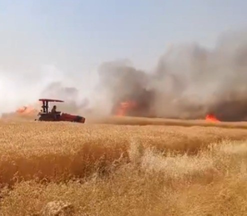Şanlıurfa’da buğday tarlasında çıkan yangın kontrol altına alındı