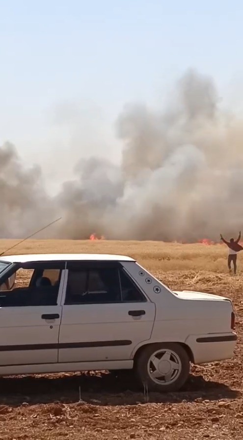 Şanlıurfa&rsquo;da buğday tarlasında &ccedil;ıkan yangın kontrol altına alındı
