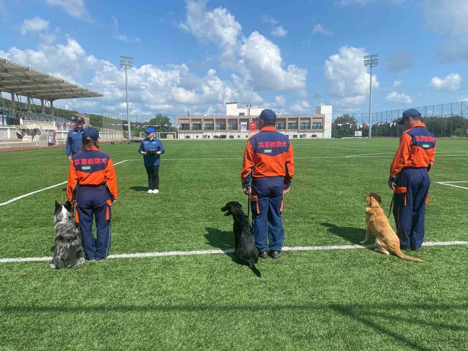 9 ülkeden 27 arama kurtarma köpeği İstanbul’daki şampiyonada yarıştı