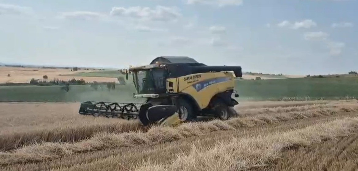 Edirne’de buğday hasadı başladı: Üretici verimden memnun