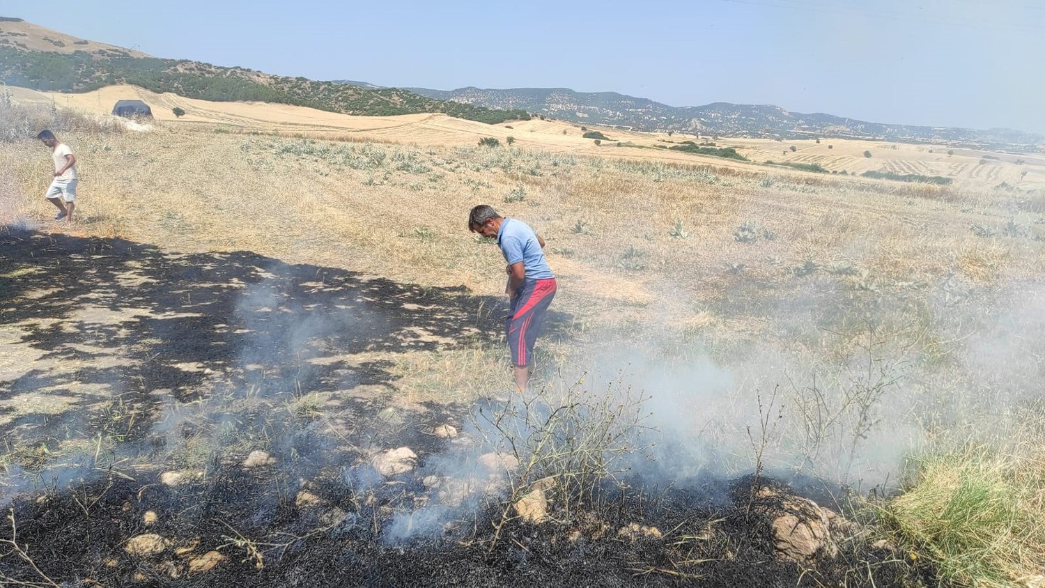 Trafoya kuş &ccedil;arptı, alevler kısa s&uuml;rede s&ouml;nd&uuml;r&uuml;ld&uuml;
