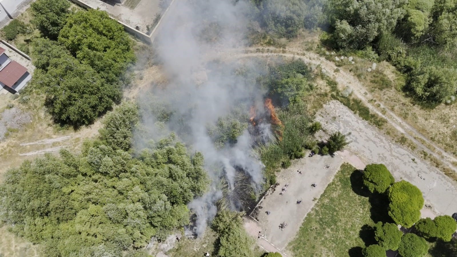 Adilcevaz’da Van Gölü sahilinde yangın paniği: Kafe yakınında sazlık alan yangını