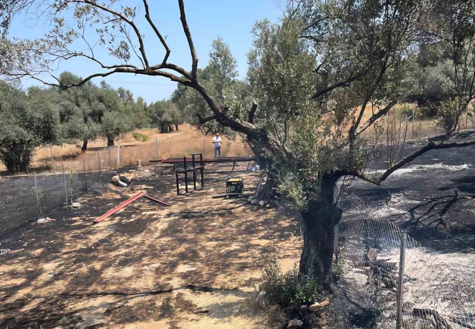 Fo&ccedil;a&rsquo;da ormanlık alanda &ccedil;ıkan yangın kontrol altında
