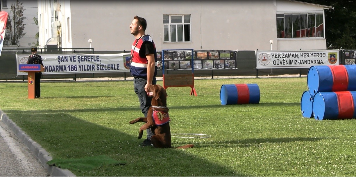 Edirne&rsquo;de jandarma komandolardan nefes kesen g&ouml;steri: &rsquo;G&uuml;&ccedil;l&uuml;y&uuml;z, Cesuruz, Hazırız&rsquo;
