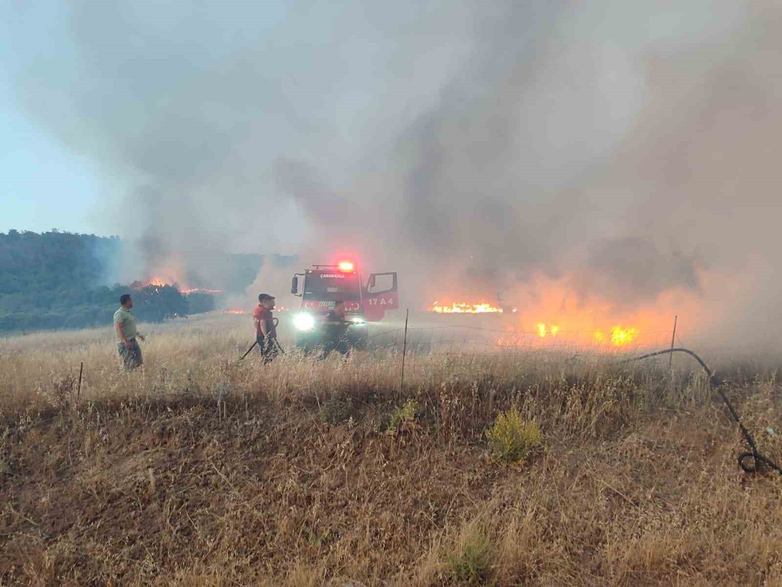 Ayvacık’ta tarım arazisinde yangın