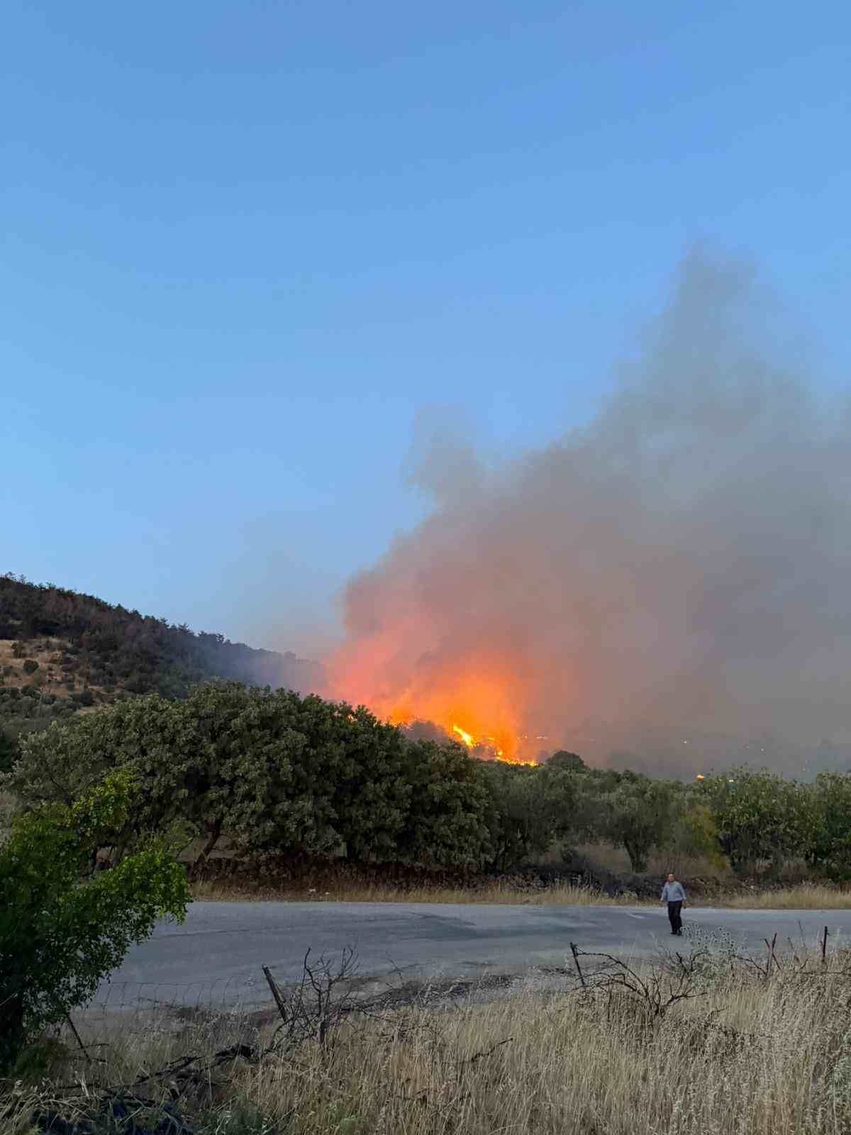 Ayvacık&rsquo;ta tarım arazisinde yangın

