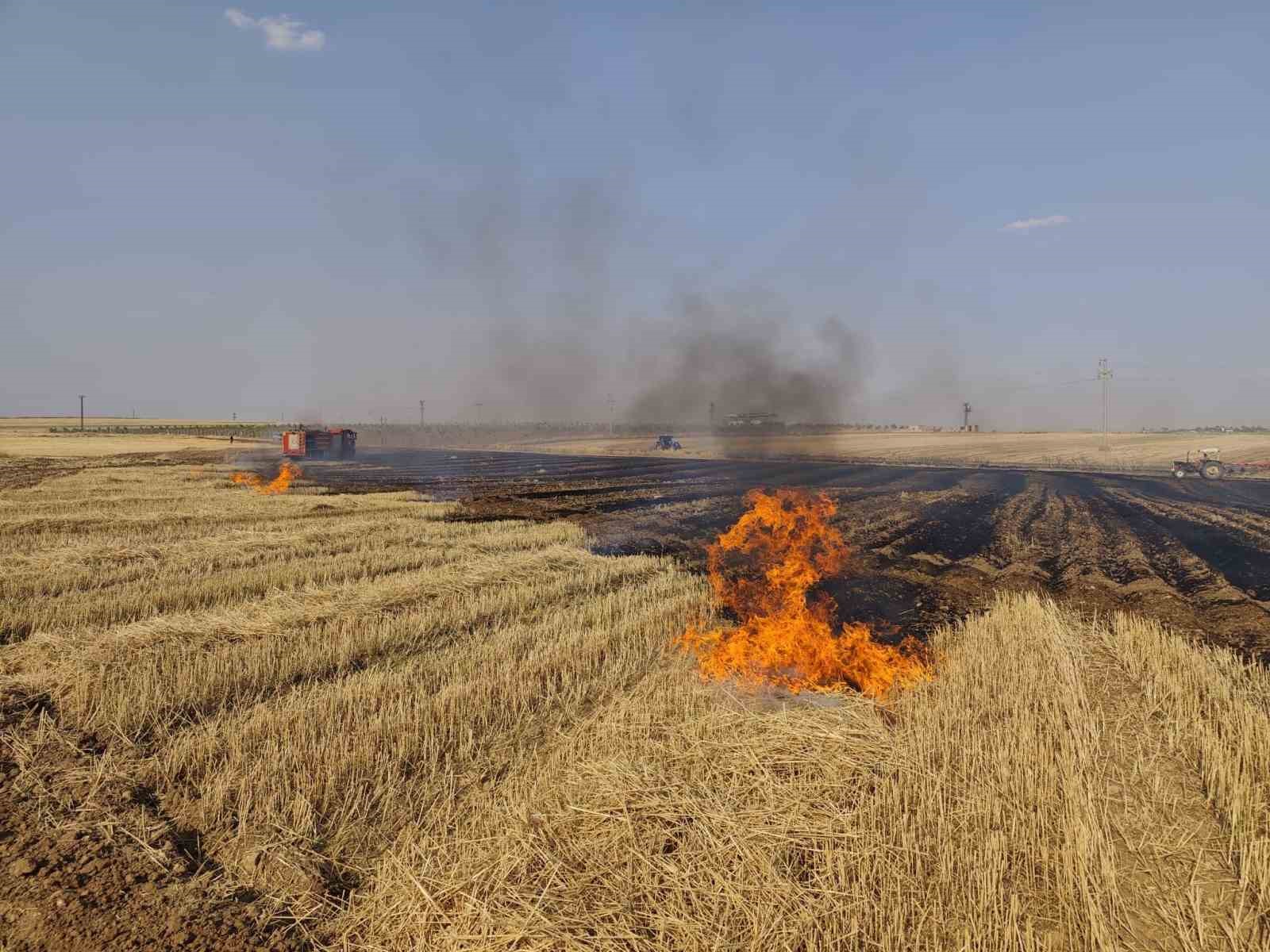 Mardin’de çıkan anız ve orman yangınları söndürüldü