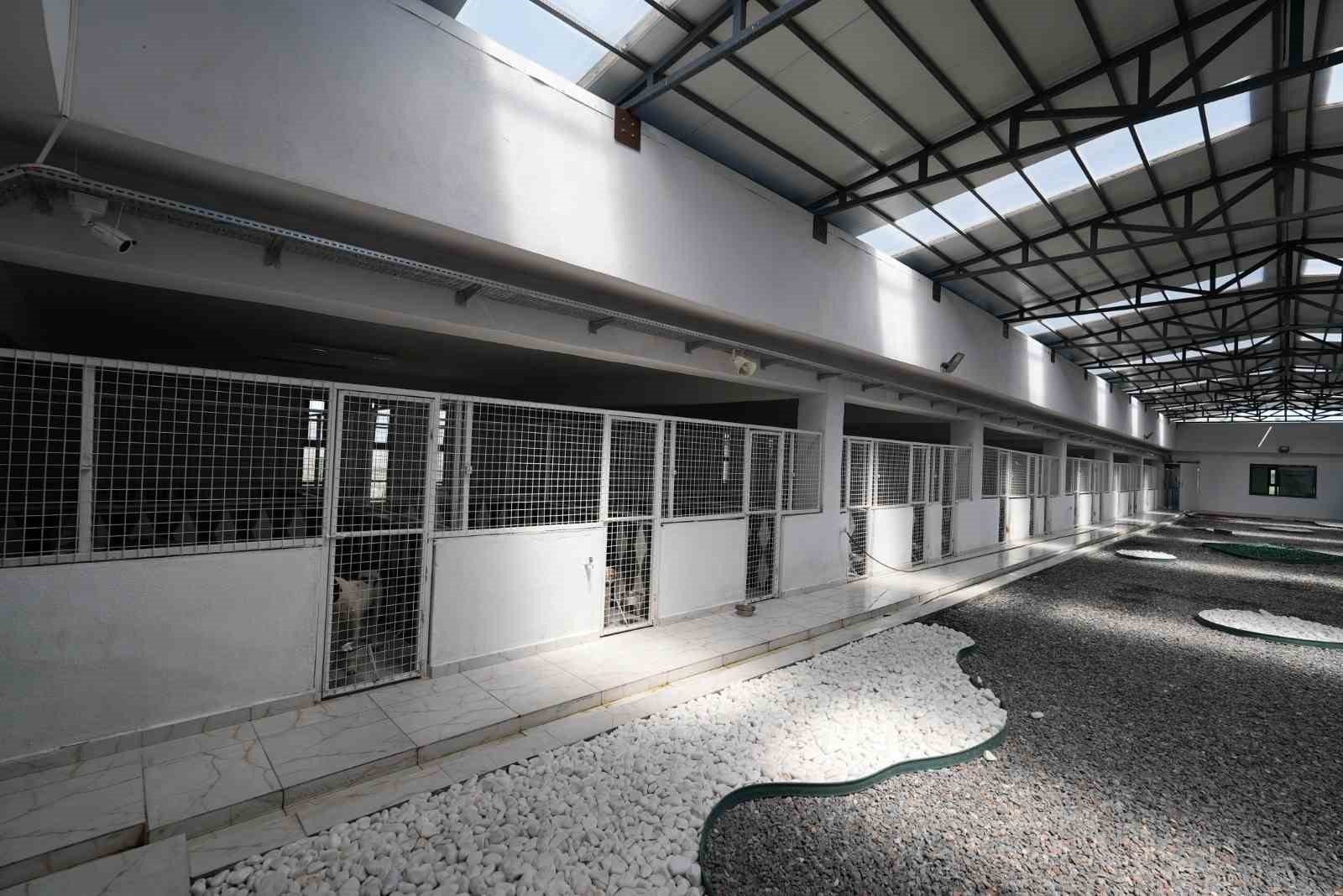 Kayseri’de 500 hayvan kapasiteli yeni bir barınak inşa ediliyor
