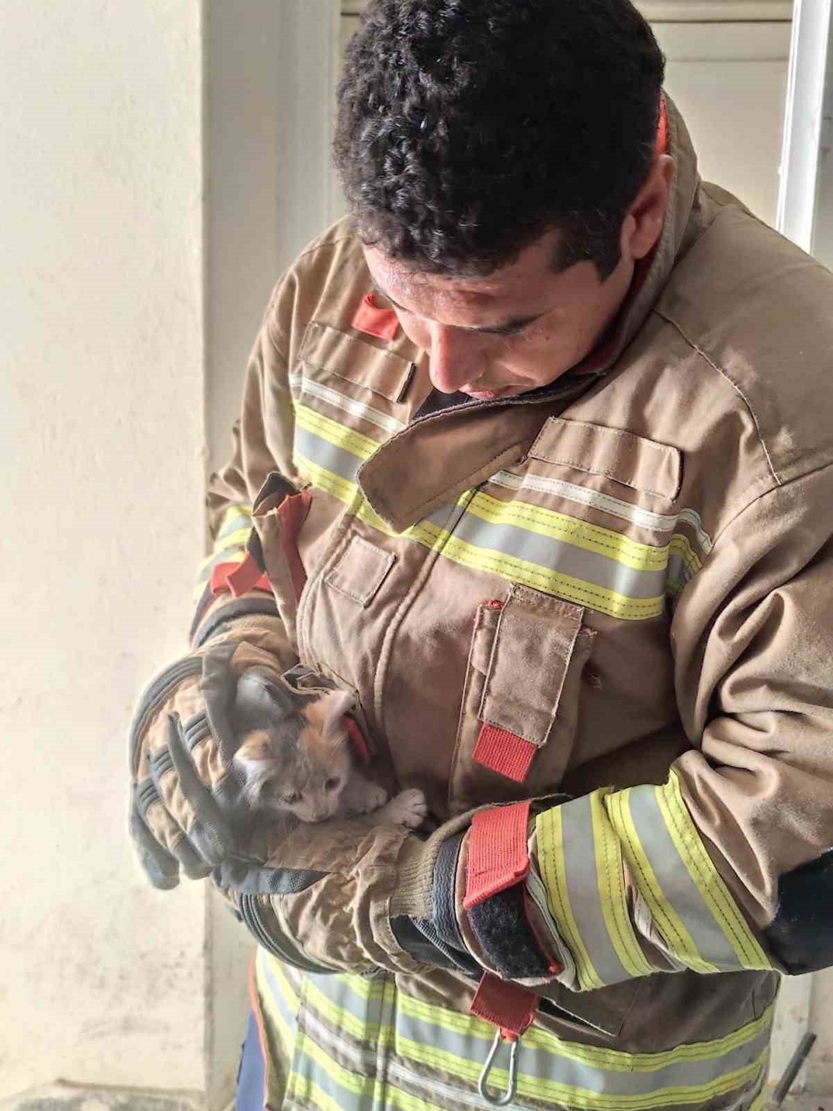 Havalandırma boşluğuna düşen kediyi itfaiye kurtardı