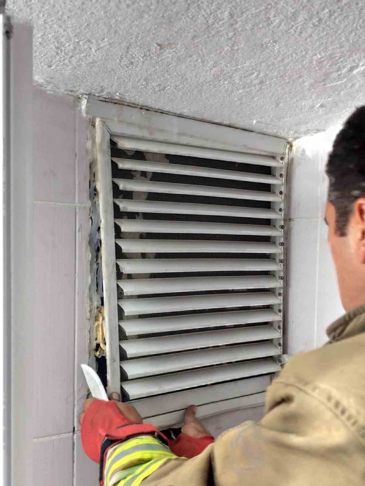 Havalandırma boşluğuna d&uuml;şen kediyi itfaiye kurtardı
