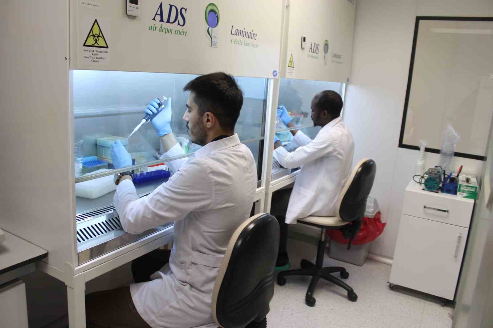 KKKA aşısında sona doğru: İnsan &uuml;zerinde &ccedil;alışmalar başlayacak
