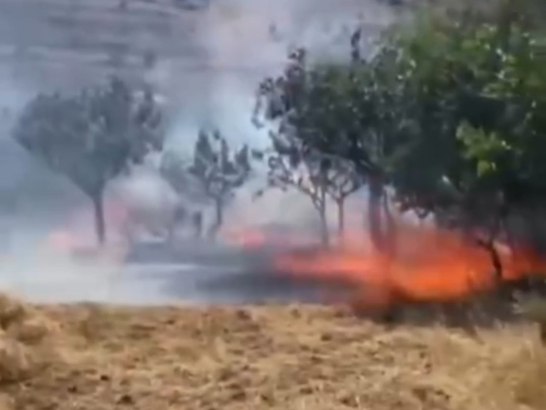 Siirt&rsquo;te &ccedil;ay i&ccedil;in yakılan ateş fıstık ağa&ccedil;larını k&uuml;le &ccedil;evirdi
