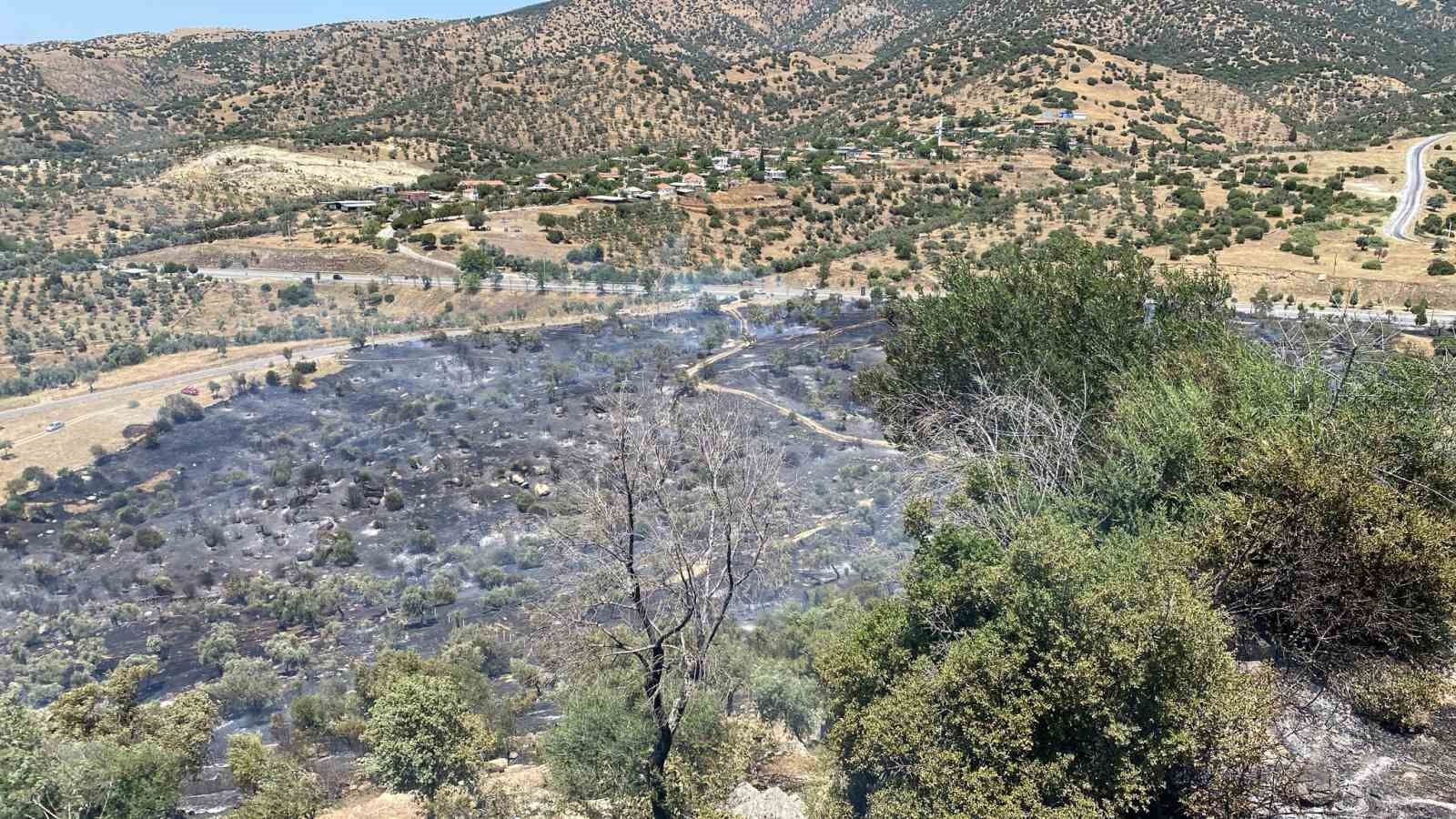 Zirai alan yangını büyümeden kontrol altına alındı