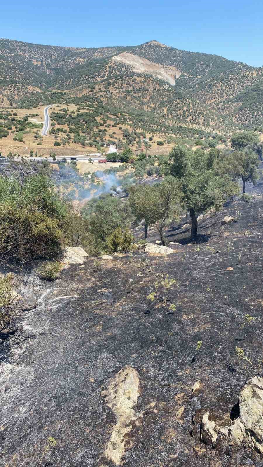Zirai alan yangını b&uuml;y&uuml;meden kontrol altına alındı
