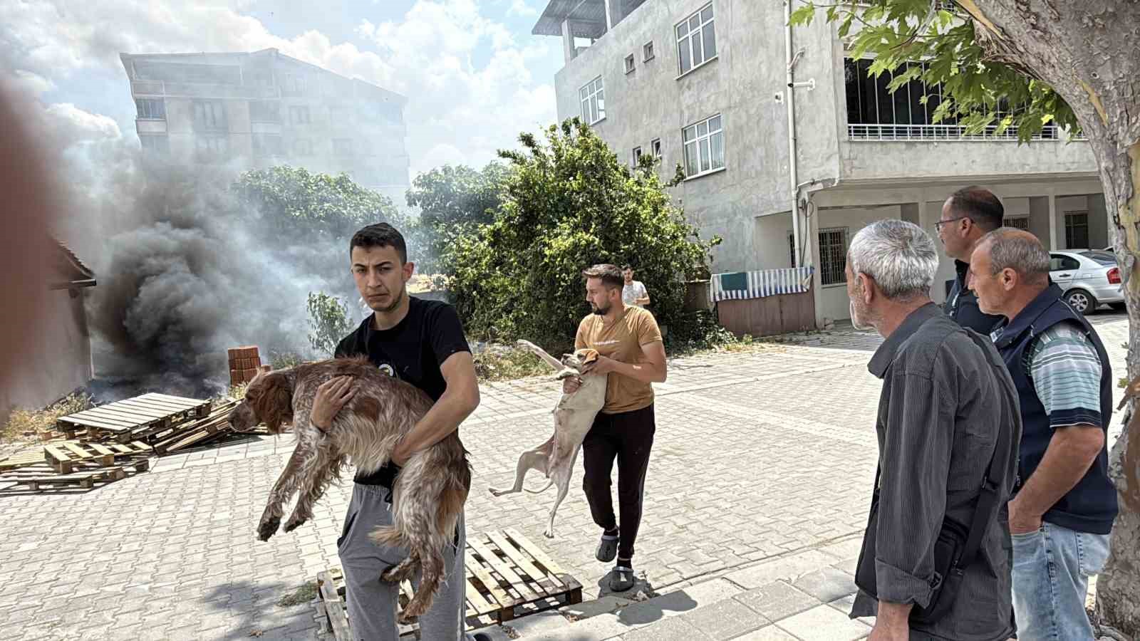 Alevler arasında kalan k&ouml;pekler son anda kurtarıldı
