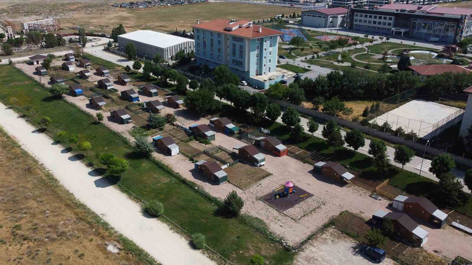 Kendi emekleriyle yetiştirdikleri sebzeleri güvenle tüketiyorlar