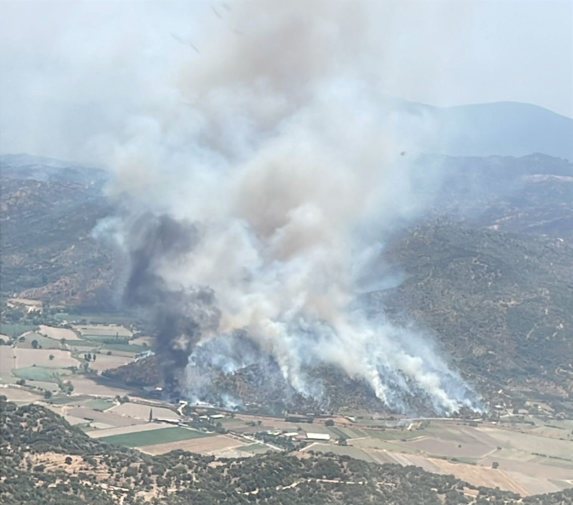 Söke’de yangın, söndürme çalışmaları sürüyor