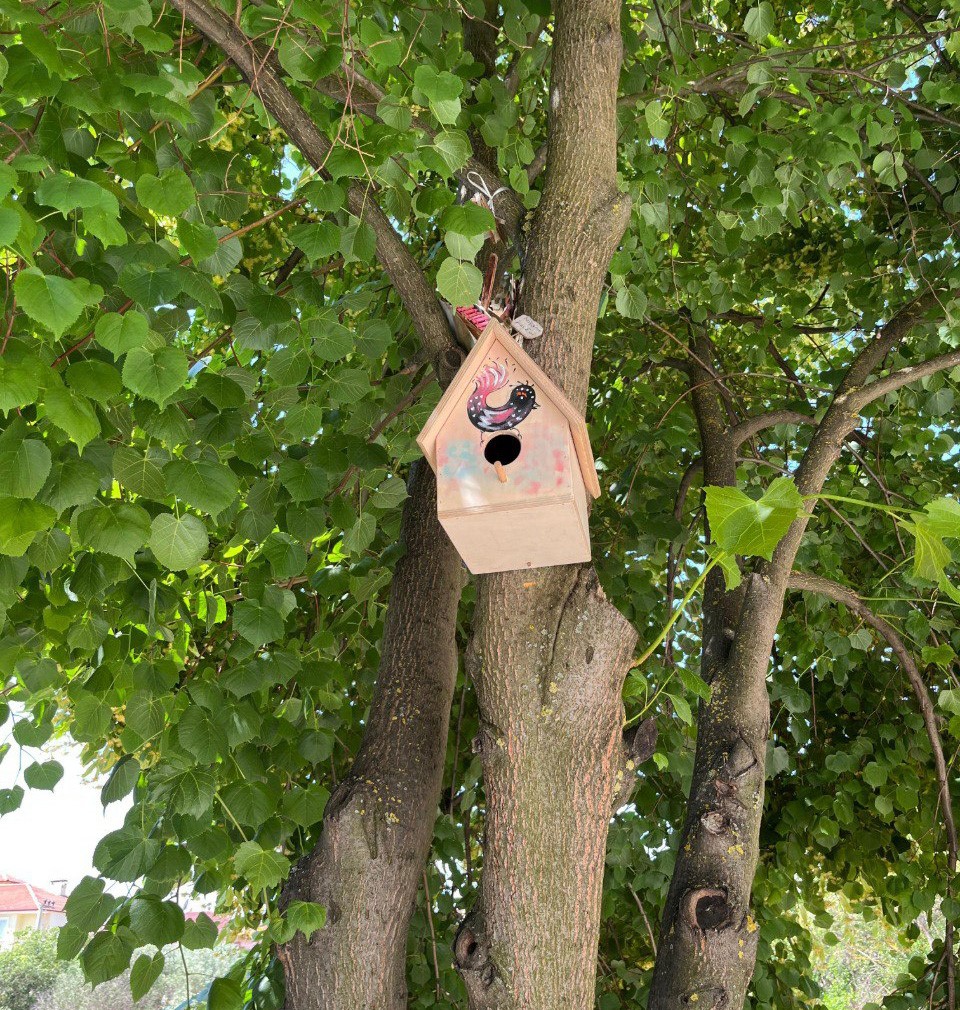 Engelli &ouml;ğrenciler yaptı, b&uuml;y&uuml;kşehir ağa&ccedil;ları donattı
