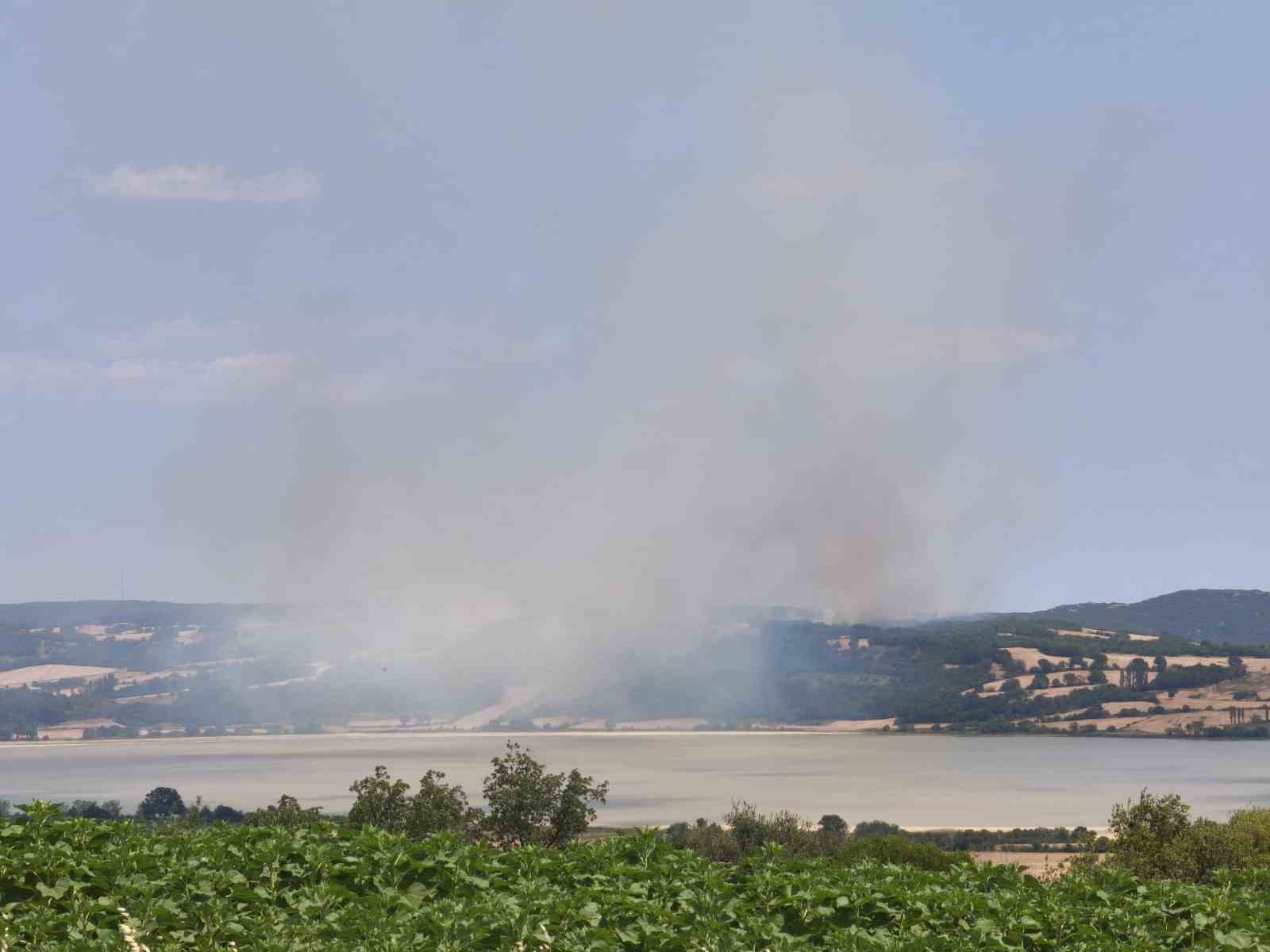 Edirne&rsquo;de orman yangınına havadan ve karadan m&uuml;dahale ediliyor
