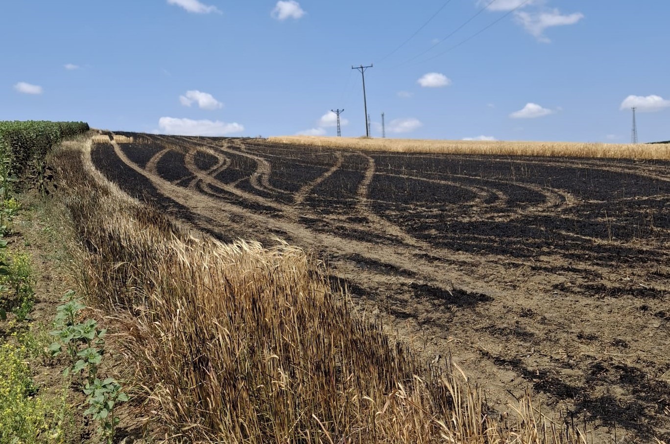 Hayrabolu’da 13 dönüm arpa tarlası küle döndü