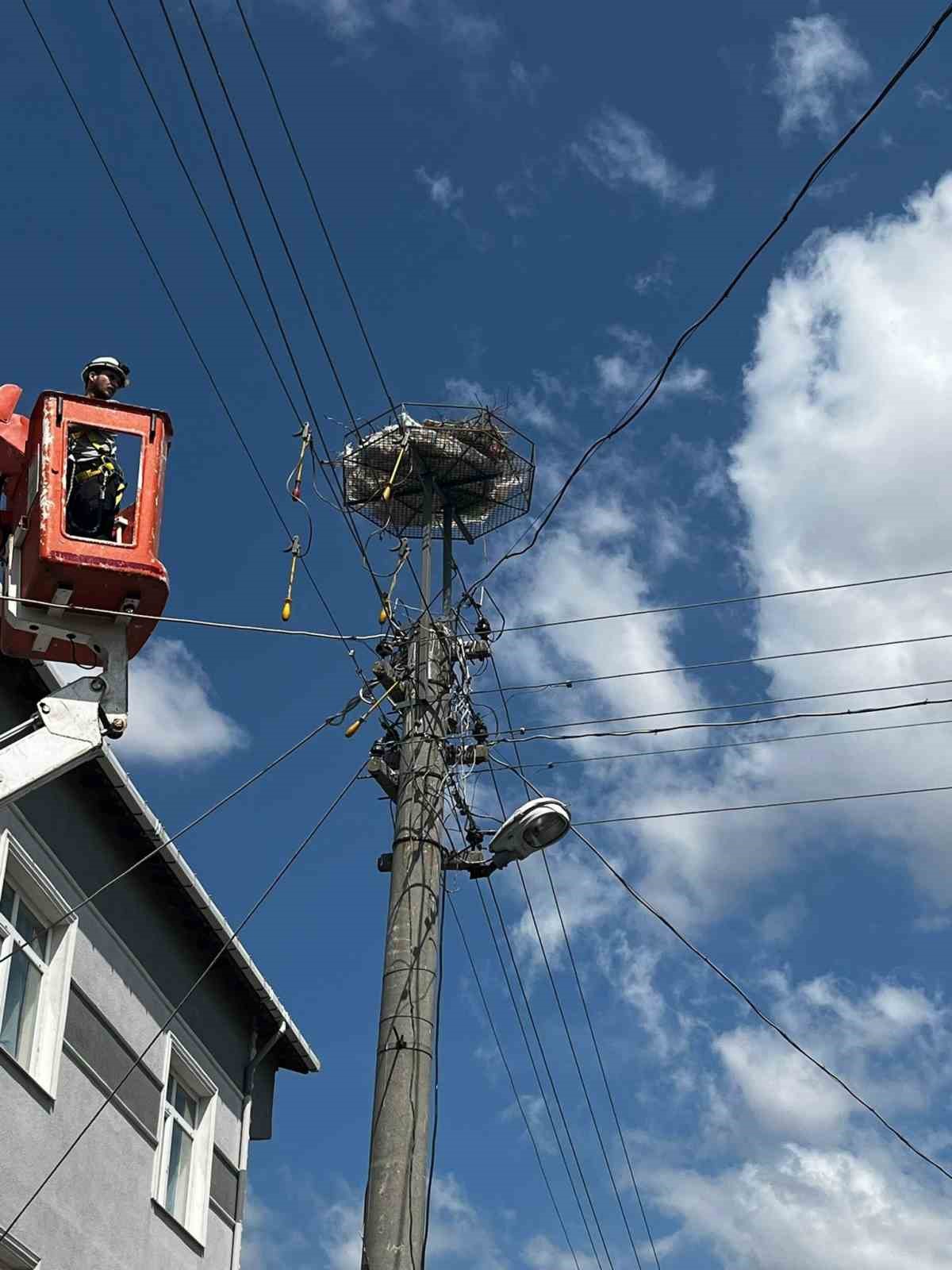 Muratlı&rsquo;da leyleklere g&uuml;venli yuva desteği
