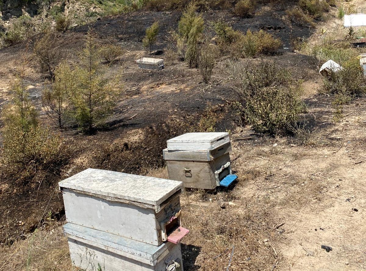 Turgutlu’da kırsal alanda çıkan yangın ormanlık alana sıçramadan söndürüldü