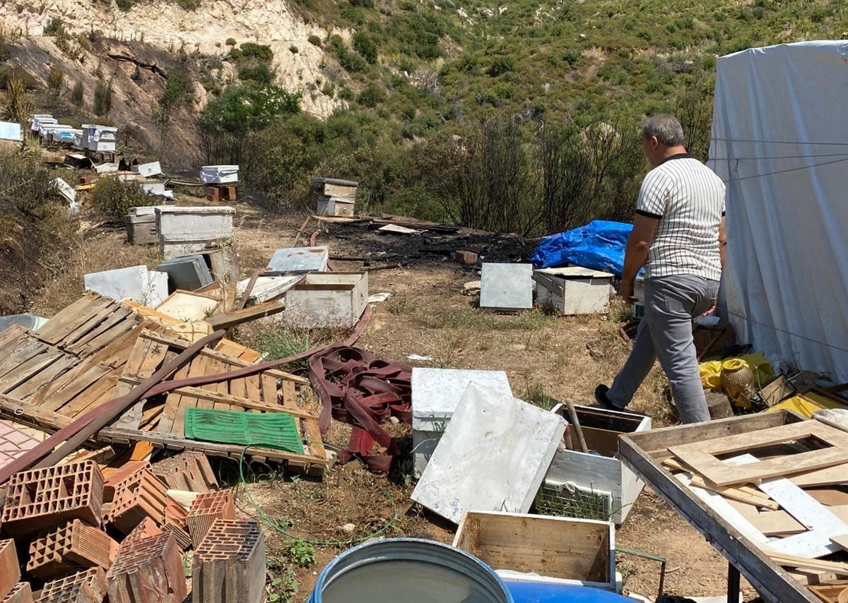 Turgutlu&rsquo;da kırsal alanda &ccedil;ıkan yangın ormanlık alana sı&ccedil;ramadan s&ouml;nd&uuml;r&uuml;ld&uuml;
