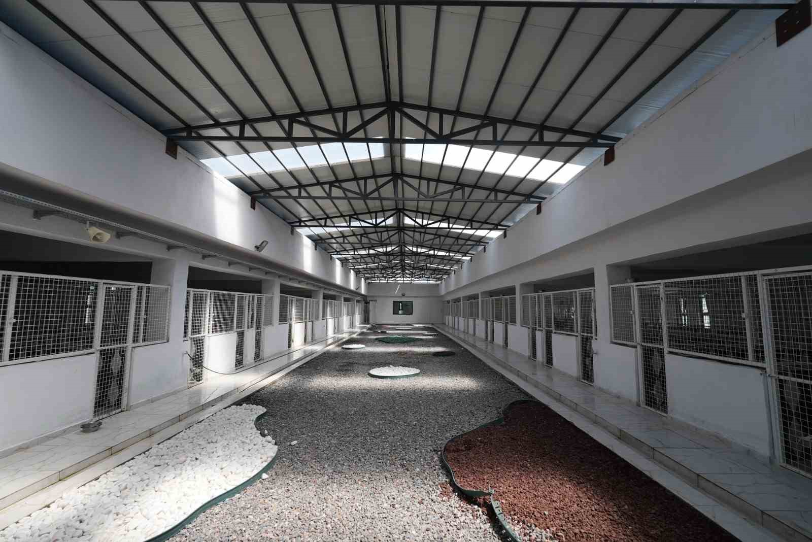 Kayseri’de 500 hayvan kapasiteli yeni bir barınak inşa ediliyor