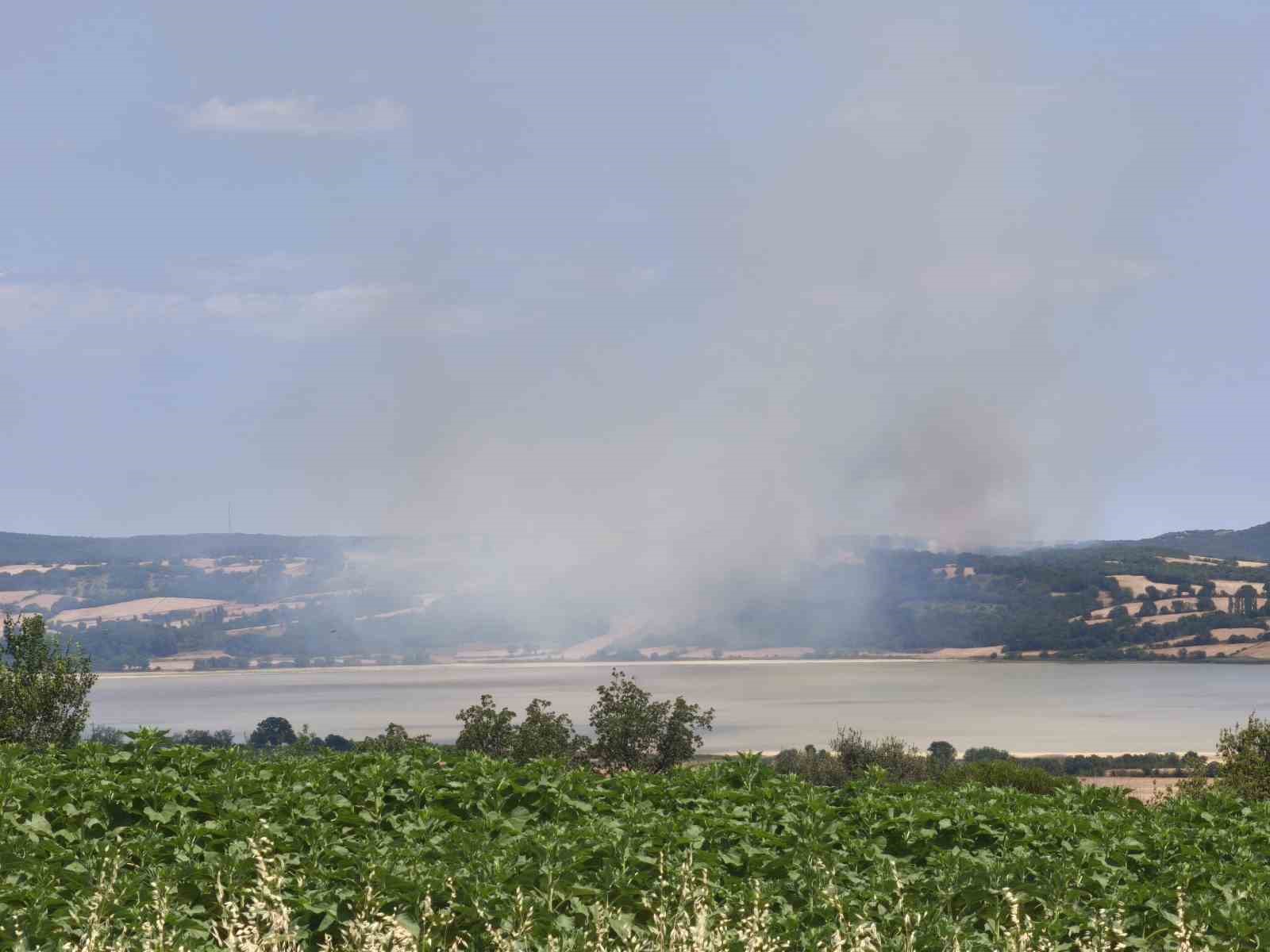 Edirne’de orman yangını kontrol altına alındı