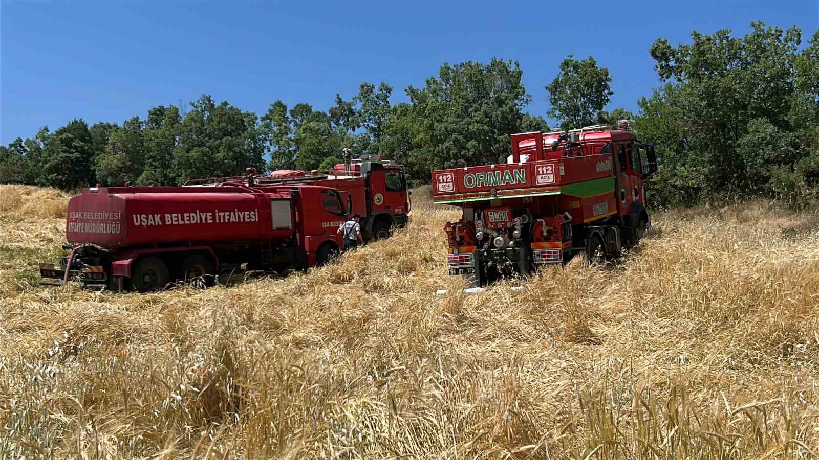 Uşak&rsquo;ta meşelik alanda &ccedil;ıkan yangın s&ouml;nd&uuml;r&uuml;ld&uuml;
