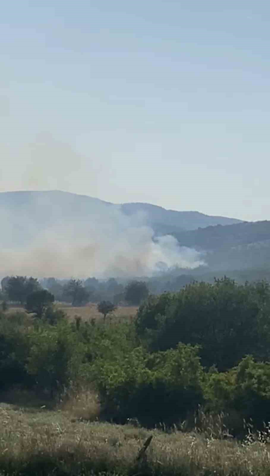 Balıkesir’de meralık alanda yangın