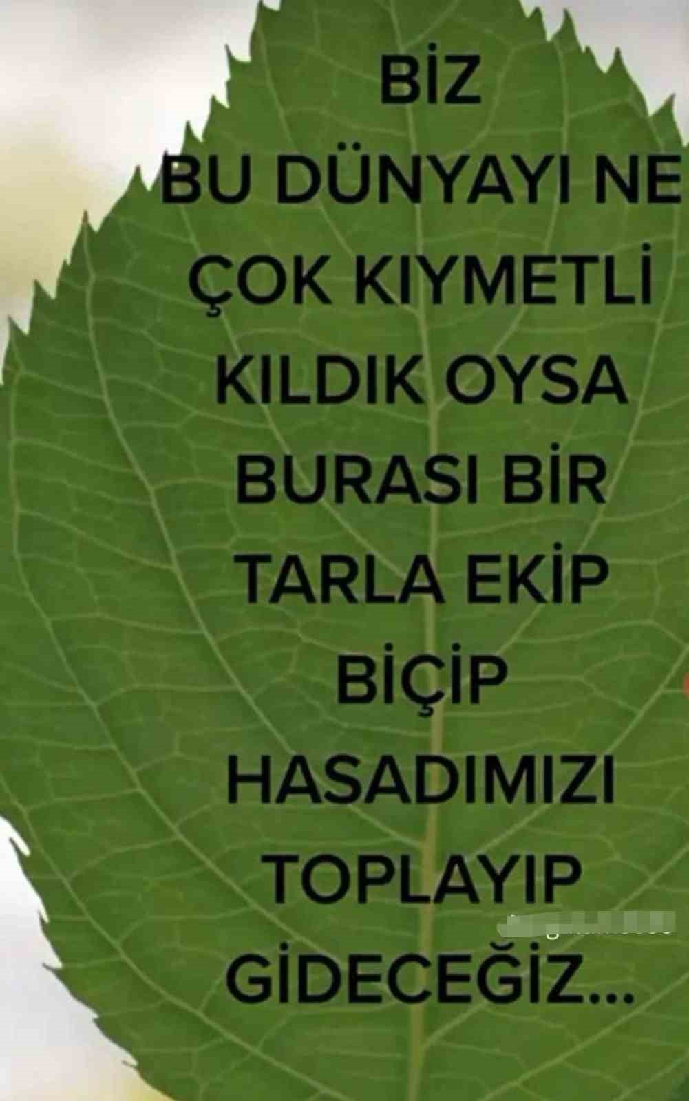 &Ouml;ld&uuml;r&uuml;len kadının paylaşımı y&uuml;rek burktu
