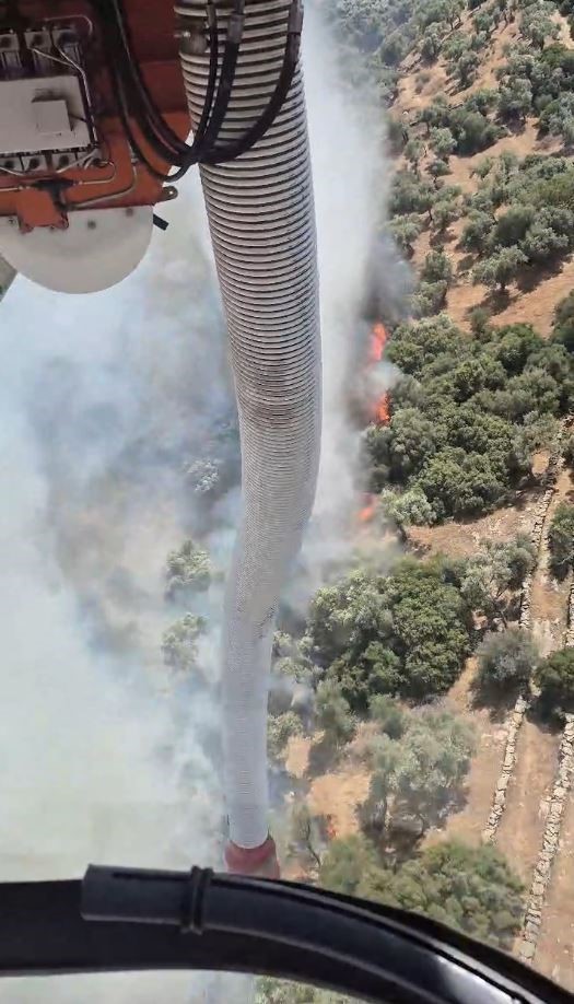 S&ouml;ke&rsquo;deki yangın kontrol altına alındı
