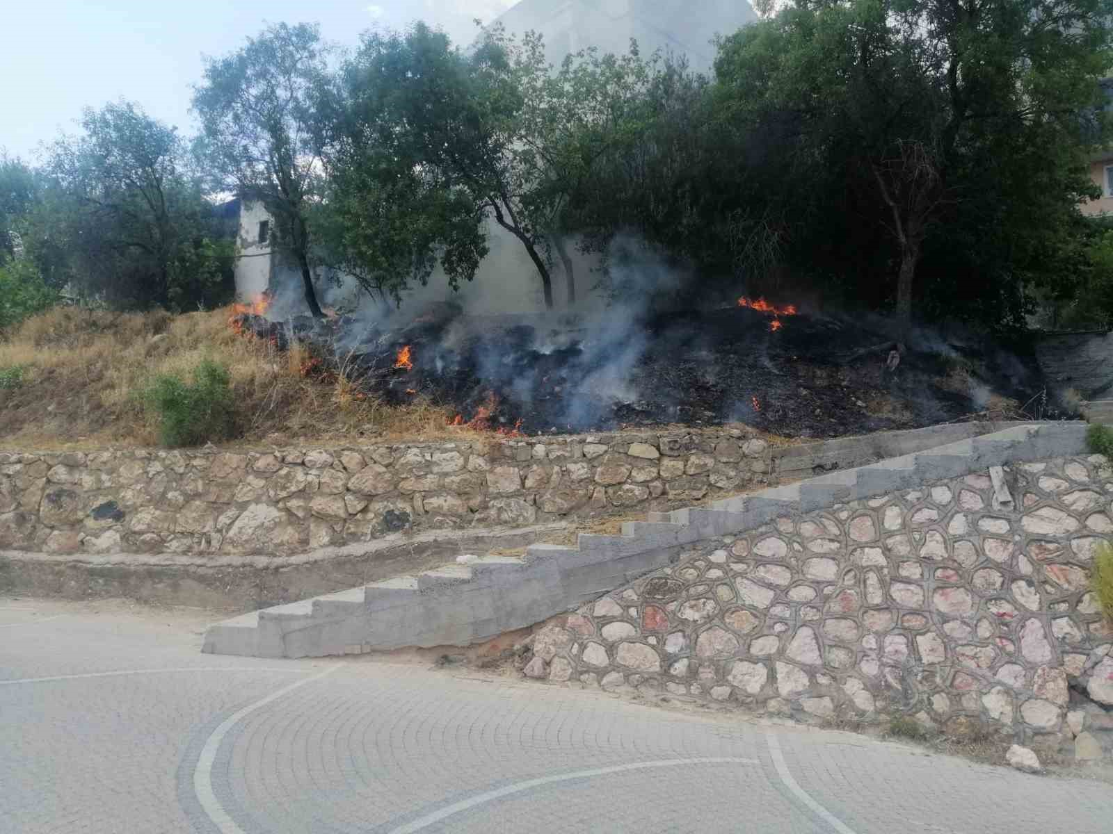 Sigara içen çocuklar otları tutuşturdu