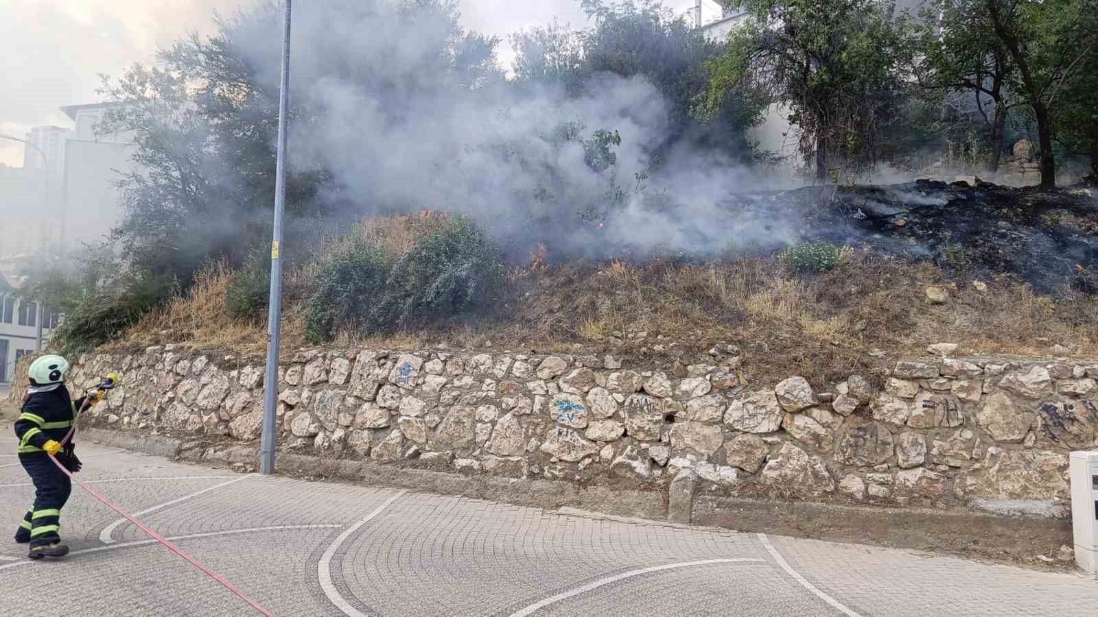 Sigara içen çocuklar otları tutuşturdu