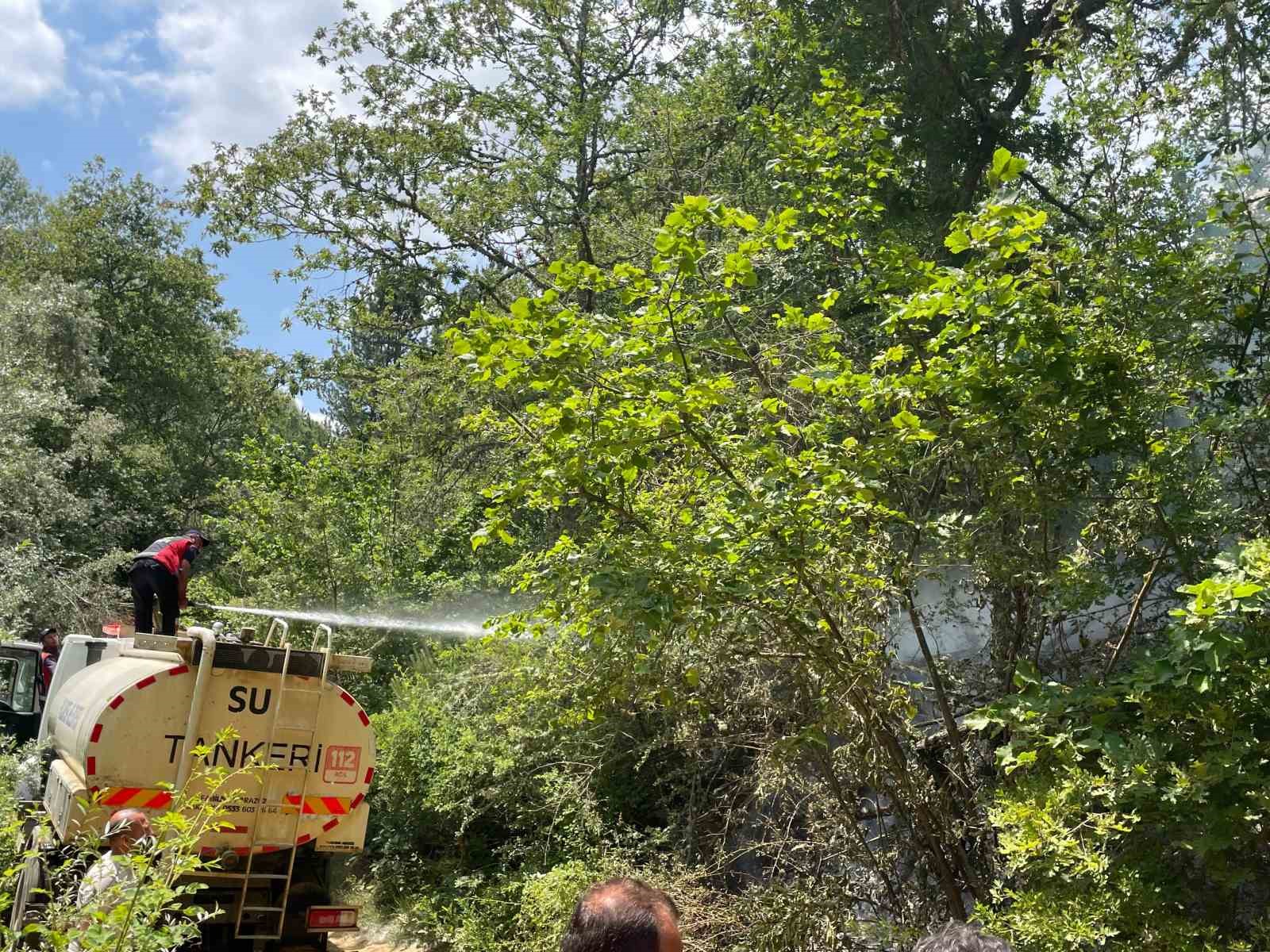 Koskoca tabiat parkı bir sigara izmariti yüzünden kül olacaktı