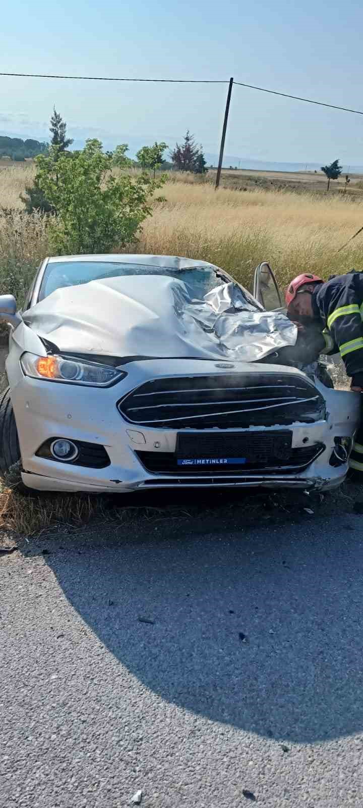 Otomobilin çarptığı inek telef oldu