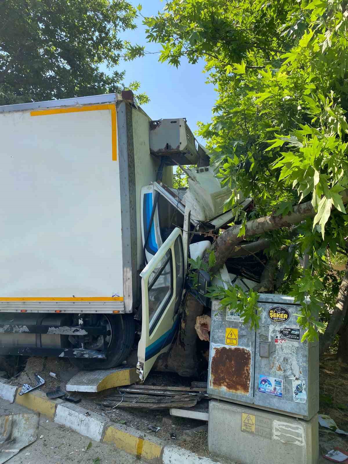 Erdek Ocaklar&rsquo;da kaza: Freni patlayan kamyon ağaca &ccedil;arptı
