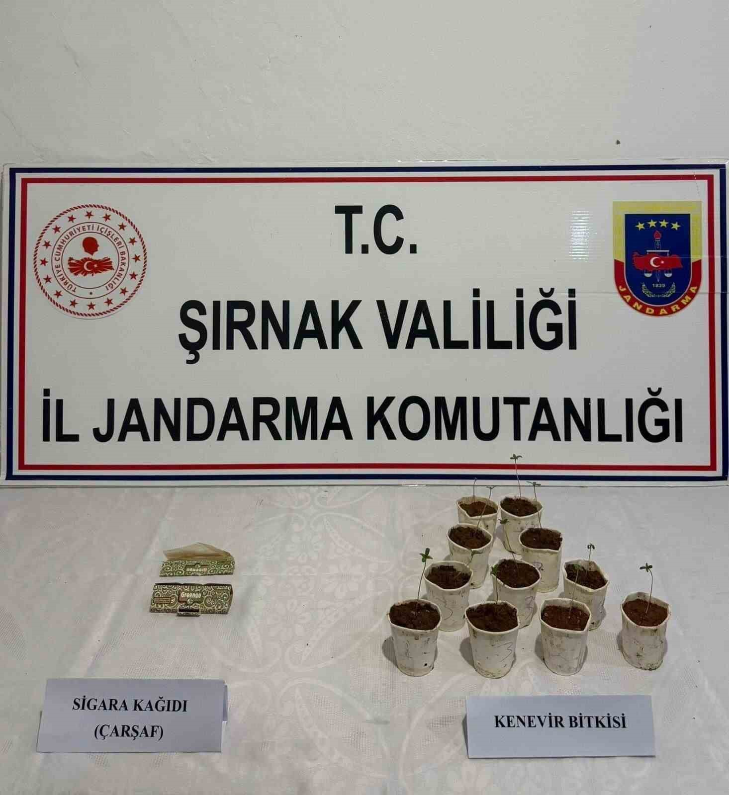 Şırnak’ta 1,5 milyon TL değerinde kaçak malzeme ele geçirildi
