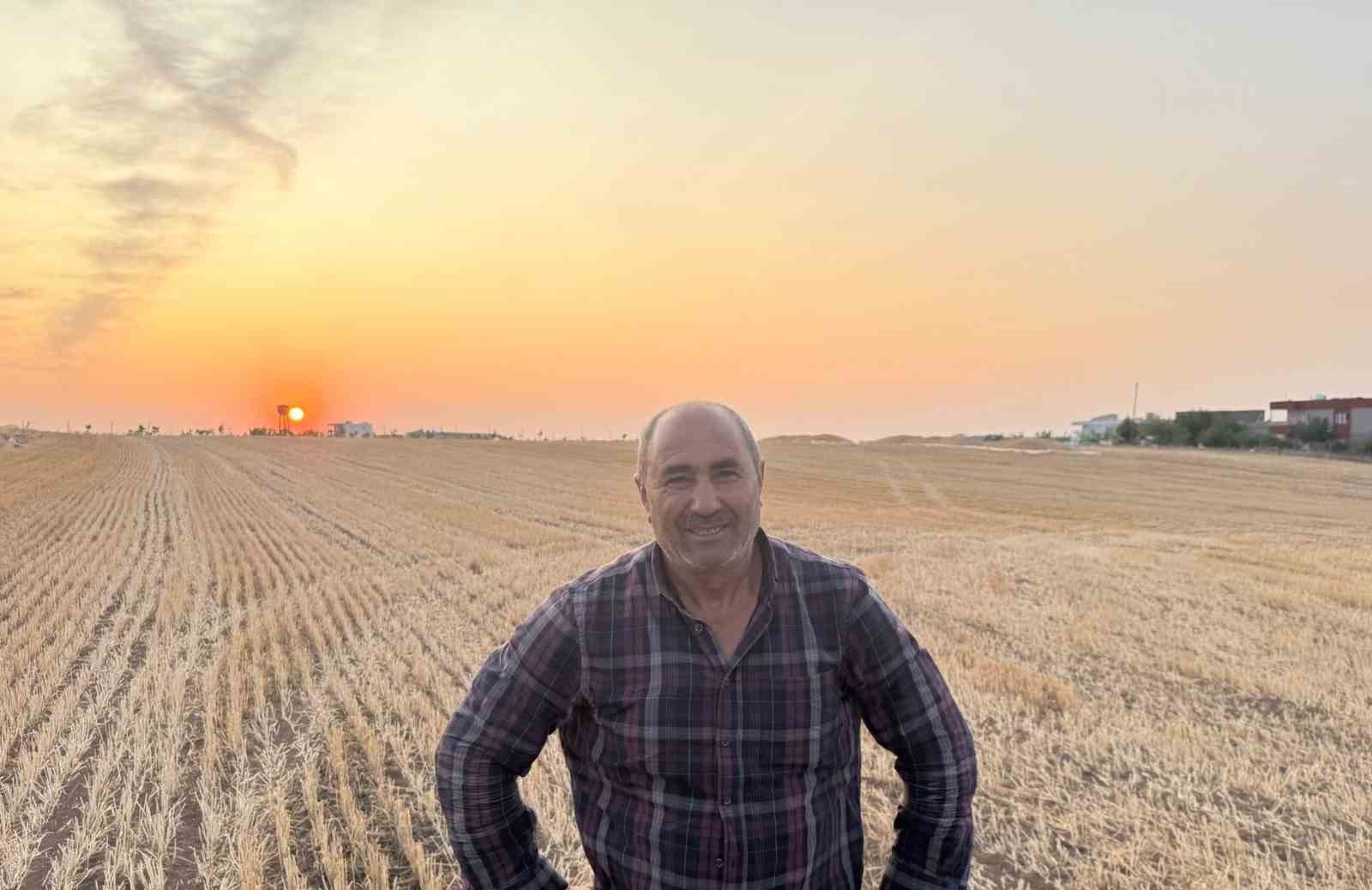 Siirt’te buğday hasadı: Çiftçiler umduklarını bulamadı

