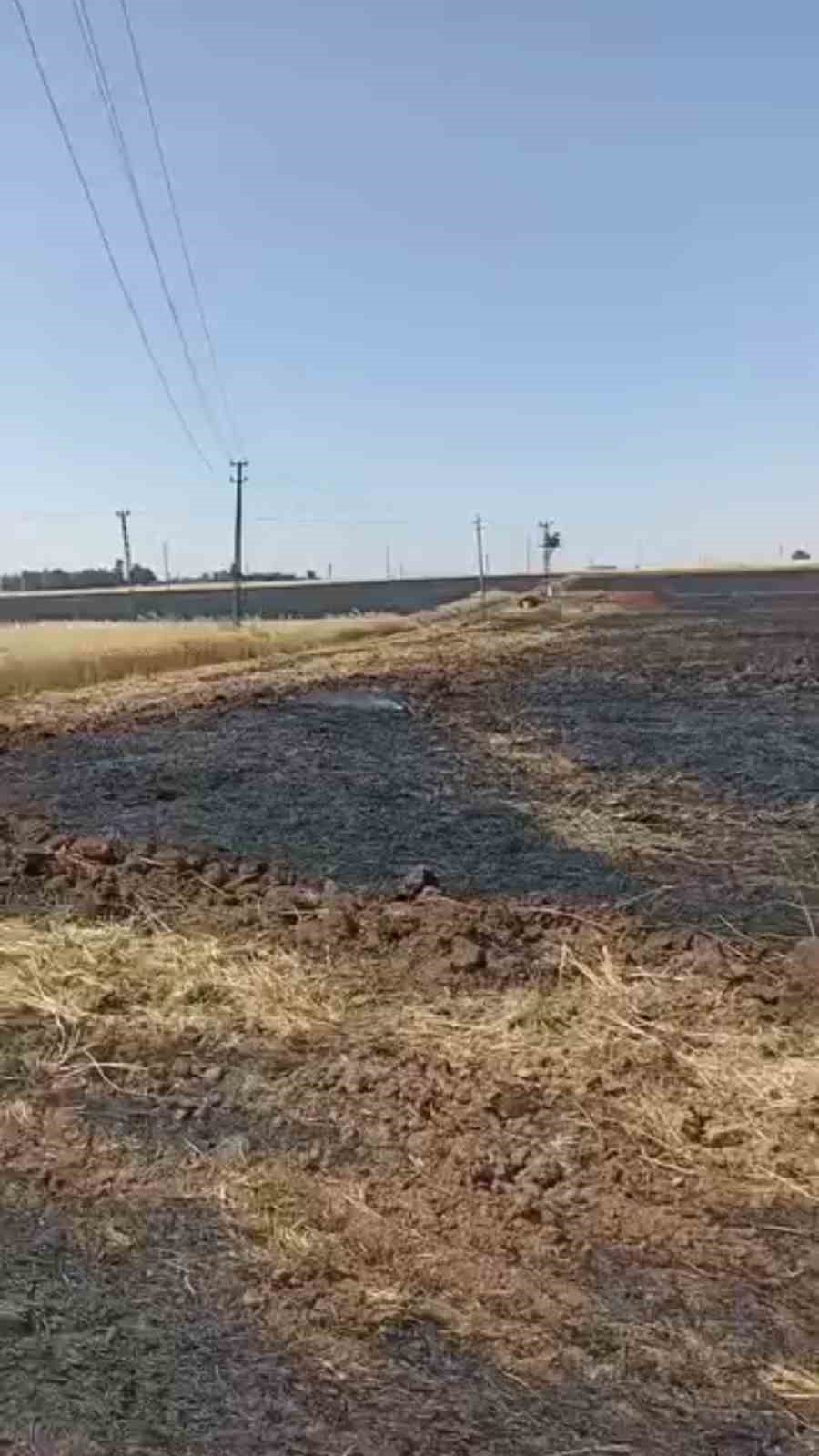 Mardin&rsquo;de 350 d&ouml;n&uuml;m buğday tarlası k&uuml;le d&ouml;nd&uuml;
