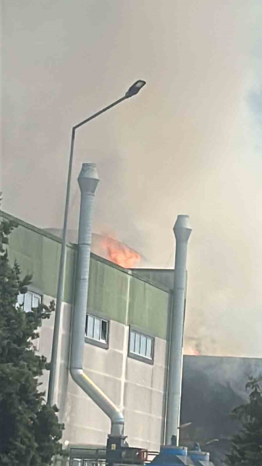 Tekirdağ&rsquo;da kimya fabrikasında yangın
