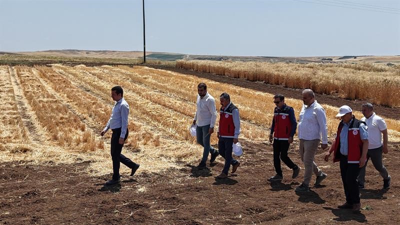 Adıyaman’da tohumculuk sektörü güçleniyor