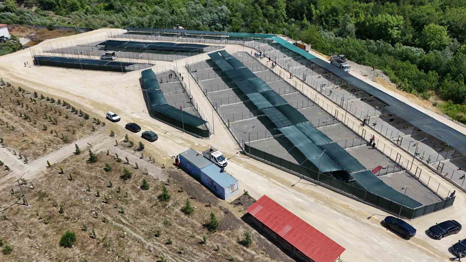 Sokak hayvanları i&ccedil;in yapılan modern yaşam merkezi devreye alındı
