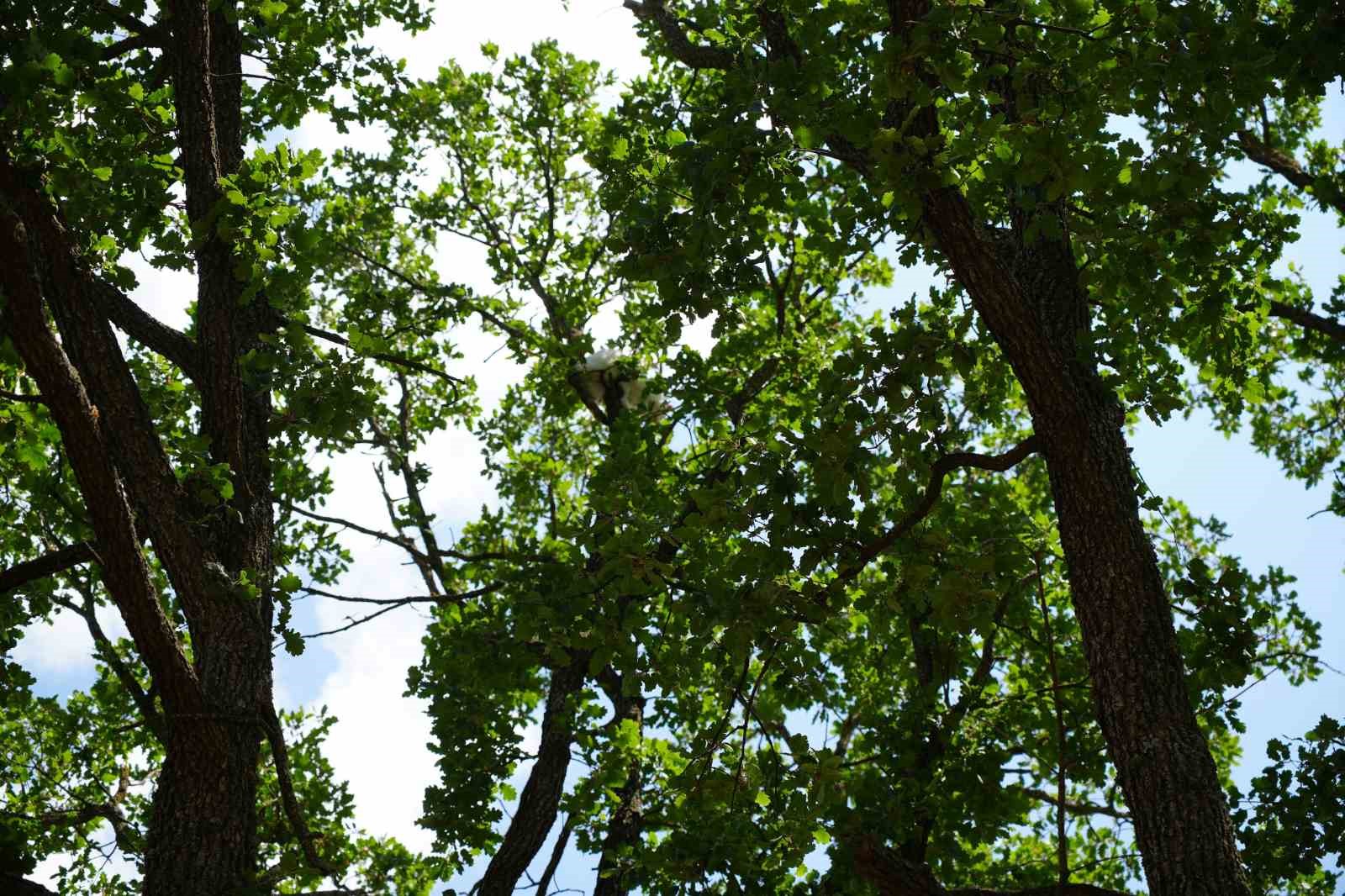 18 saat mahsur kalan kedisine kavuşunca gözyaşlarına boğuldu